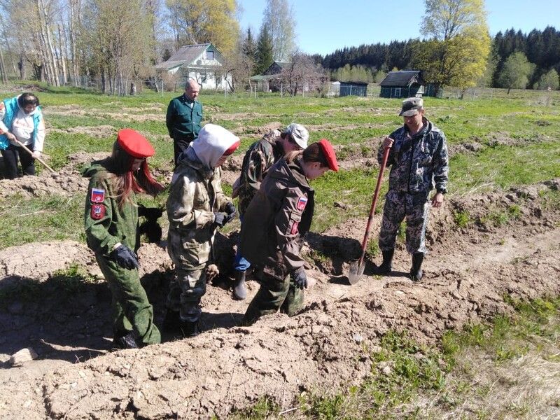 Члены ОП Ленобласти приняли участие во "Всероссийском дне посадки леса"