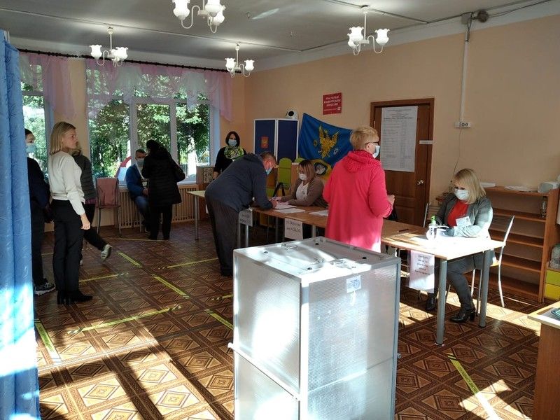 Представители СПЧ и Общественной палаты Ленобласти проинспектировали проведение голосования в регионе