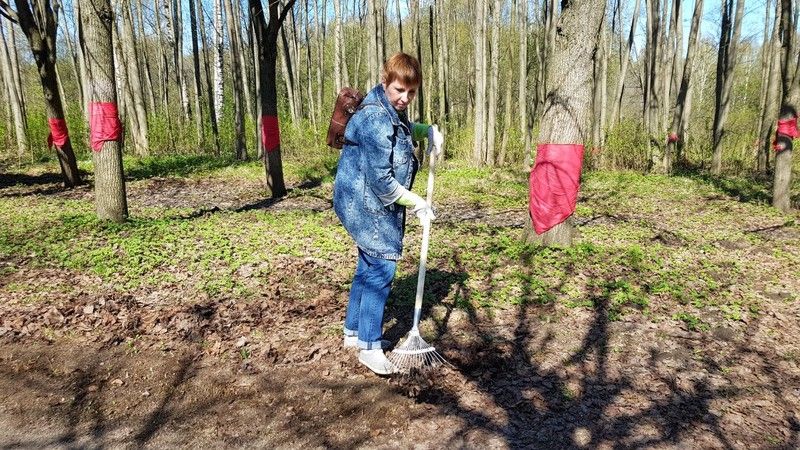 Общественная палата Ленобласти вышла на субботник