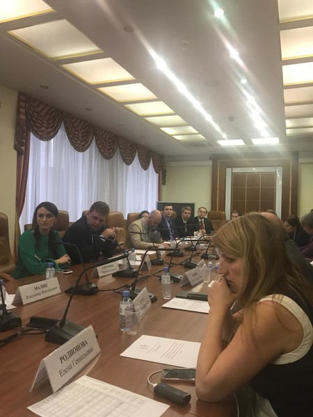 Наблюдатели на выборах, «Зеленый пояс» и «Народная экспертиза»: Общественная палата Ленобласти поделилась в Совете Федерации опытом своей работы
