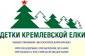 У Общественной палаты Ленобласти и Кремлевской елки появятся общие «детки»