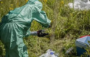 Проблемы Красного Бора обсудят Общественная палата Ленобласти и Экологический совет