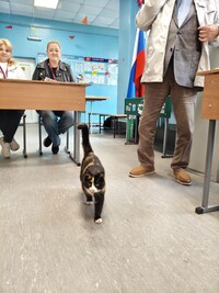 В школах Ленинградской области проведут цифровой урок,