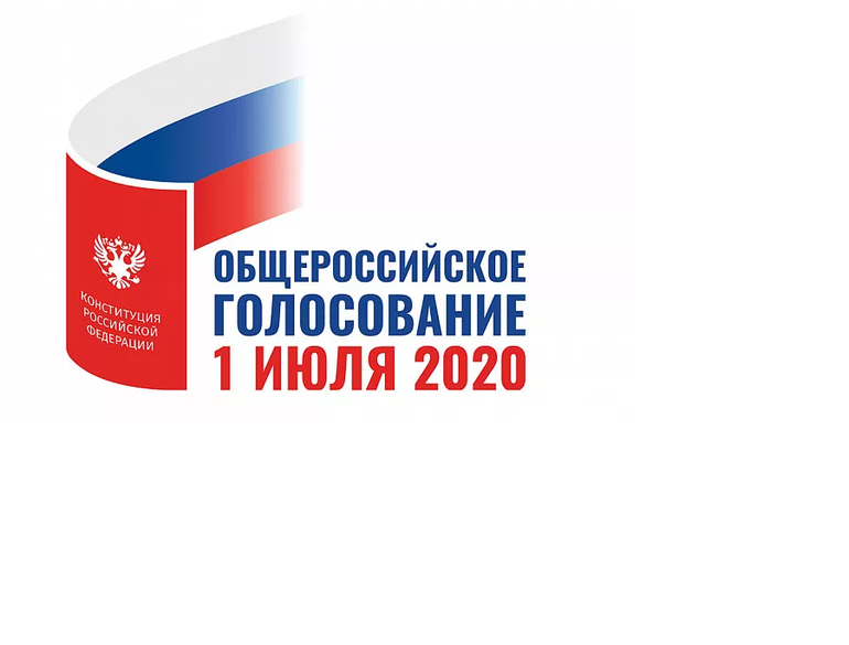 Общественная палата открыла телефонную линию для звонков о нарушениях на общероссийском голосовании