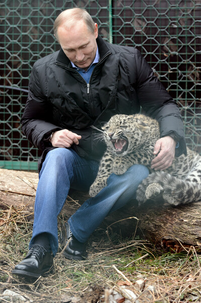 С Днем рождения, Президент