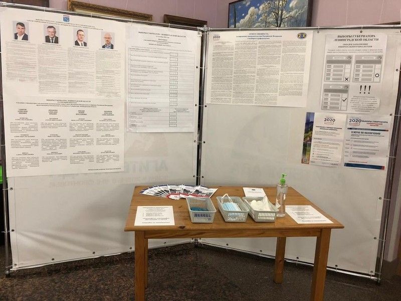 Члены Общественной палаты Ленобласти осуществляют мониторинг работы УИКов на выборах в Единый день голосования