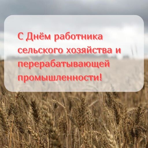 С Днём работника сельского хозяйства и перерабатывающей промышленности!