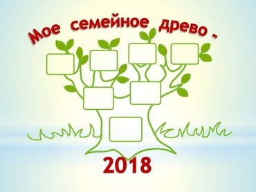 Общественная палата Ленинградской области подвела итоги конкурса «Мое семейное древо»