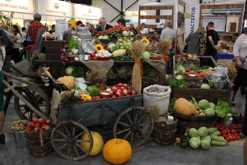 Муниципалы и общественники собрались на Дне Ленобласти на Агроруси