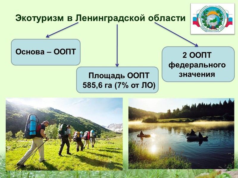 Экотуризм должен стать важной составляющей туристической отрасли Ленинградской области