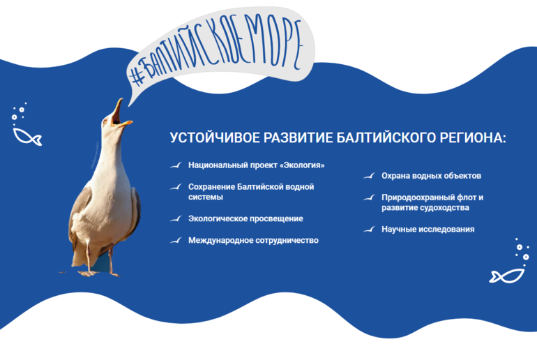 Международный экологический форум «День Балтийского моря»