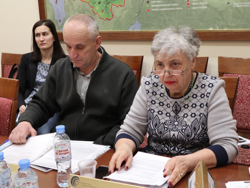 Общественная палата Ленобласти подняла вопрос доступности городской среды для инвалидов-колясочников