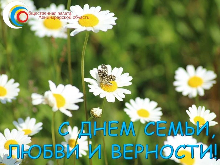 8 июля - День семьи, любви и верности!