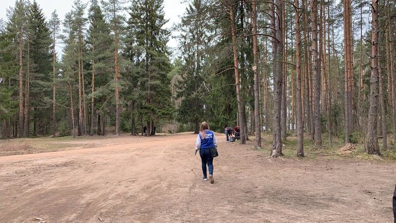 Общественники Ленобласти провели субботник во Всеволожском районе
