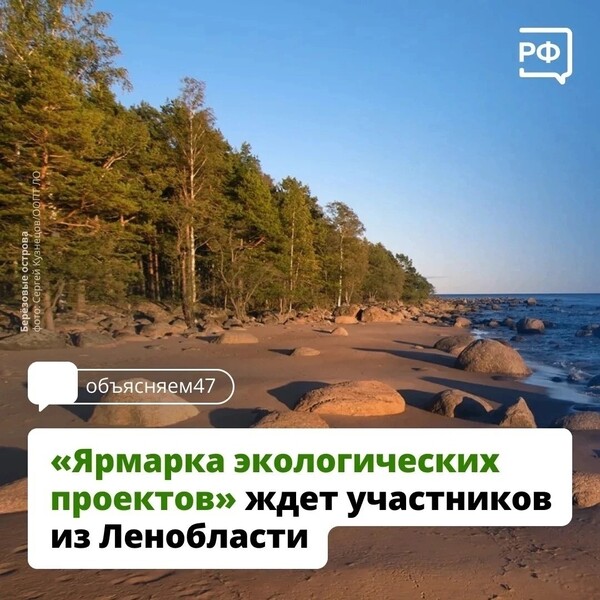 Экологические идеи, которые могут изменить привычную среду