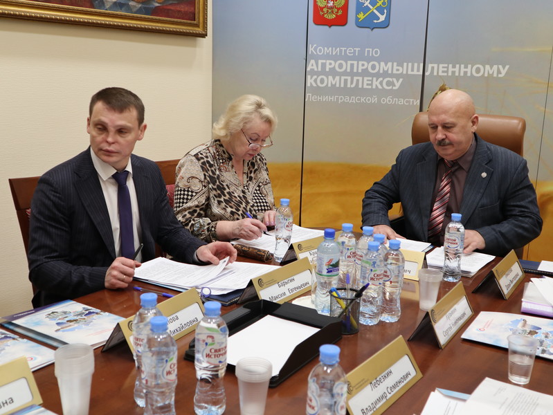 Общественная палата Ленобласти подняла вопрос доступности городской среды для инвалидов-колясочников